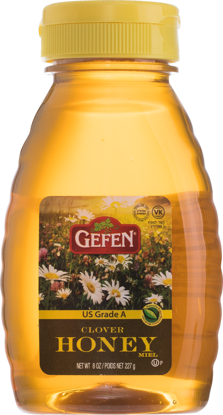 Gefen 8 oz Honey (8 oz)